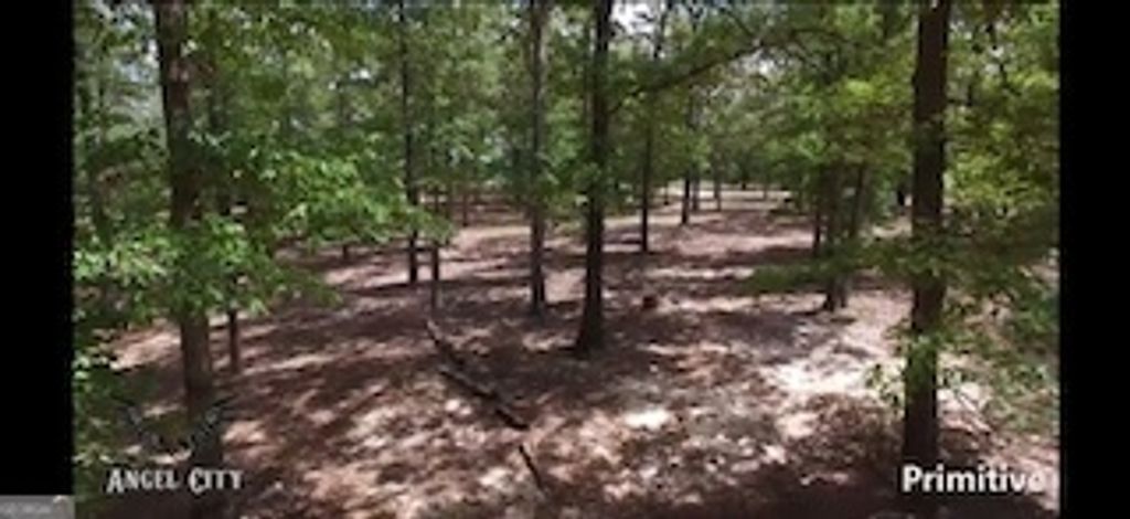 Photo of 775 Bembry Road, Unadilla, GA 31091 (MLS # 10699426)