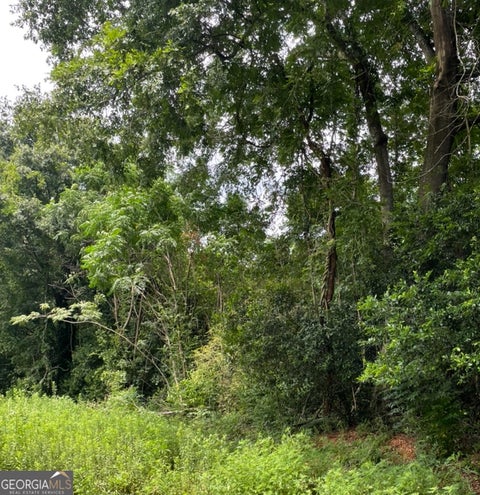Photo of 0 Perkins Road, Barnesville, GA 30204 (MLS # 10803510)