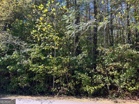 3598 Velma DR Powder Springs GA 30127