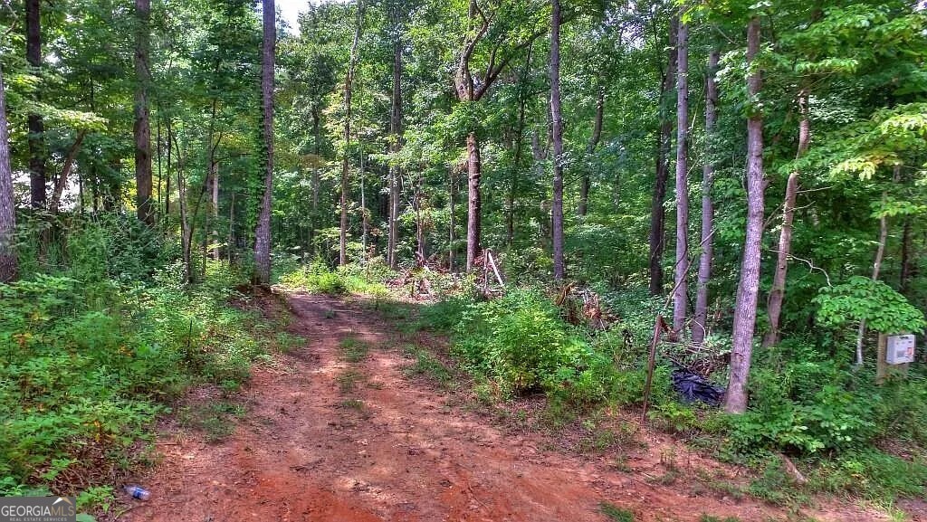 Developer's Dream - 25 Acres of Prime Residential Land in Dallas, GA! Unlock the full potential of this exceptional 25-acre property, perfectly positioned in the thriving suburb of Dallas, Georgia - just a short drive from Atlanta! This land is zoned for residential development and is truly a rare find: * No wetlands - all usable acreage. Custom home community, or estate lots, this property offers endless possibilities in one of metro Atlanta's fastest-growing areas. Seize this opportunity to develop in a sought-after location where demand for new housing is soaring!
