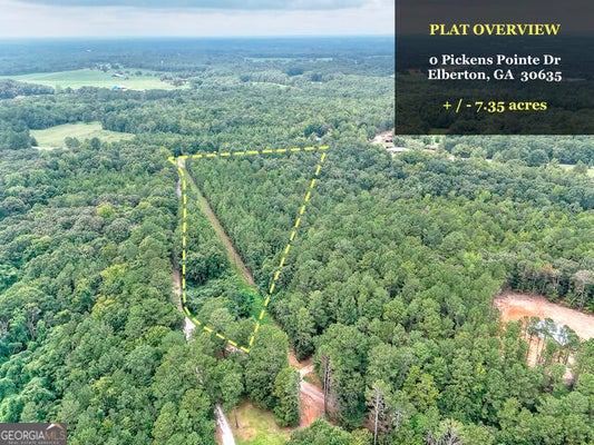 PICKENS POINT DR, ELBERTON, GA 30635 - Image 17bf28f6f2c0be3ab92e98e75c366ab3/2214277558