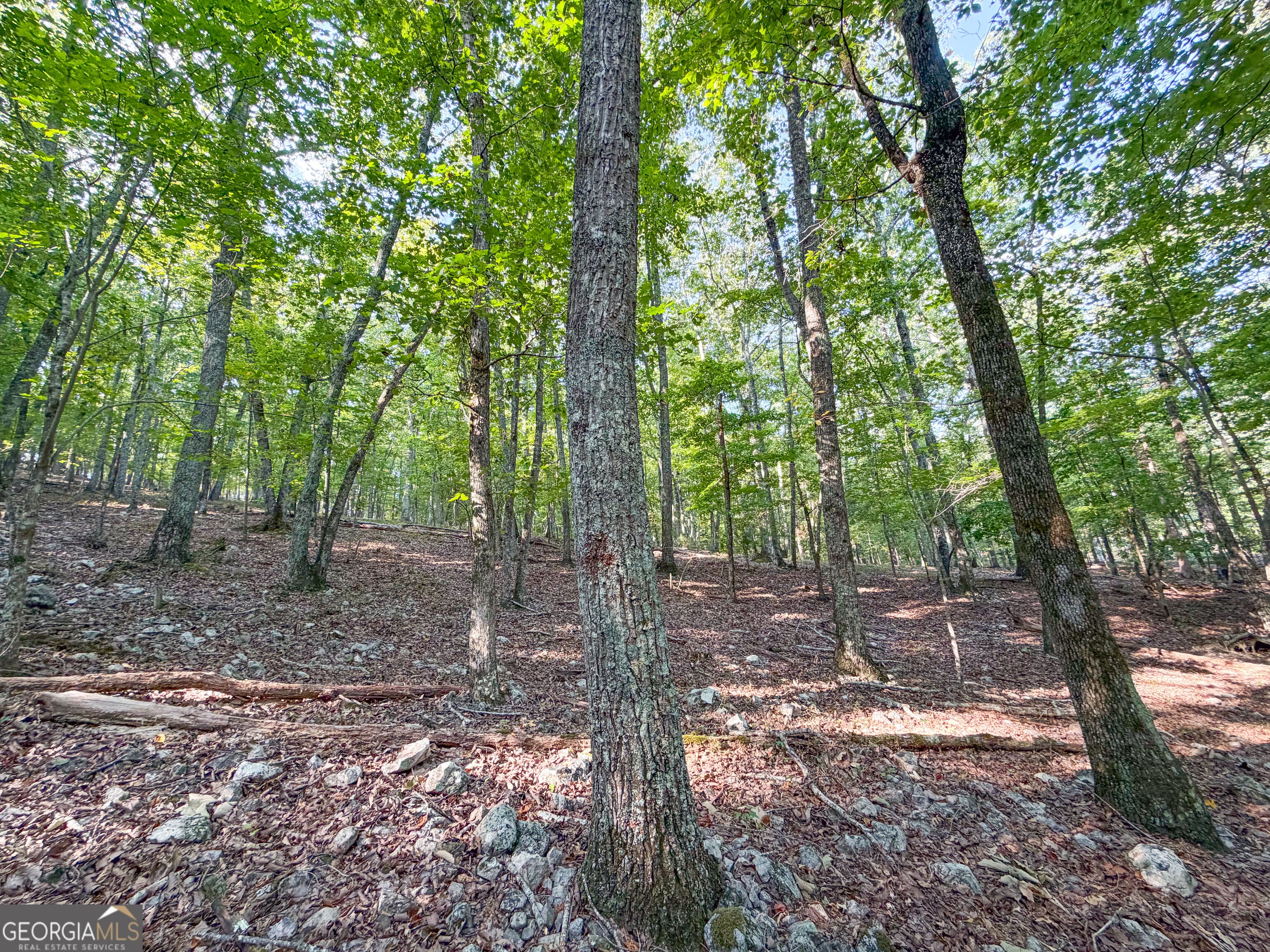 334 Lefevers RD