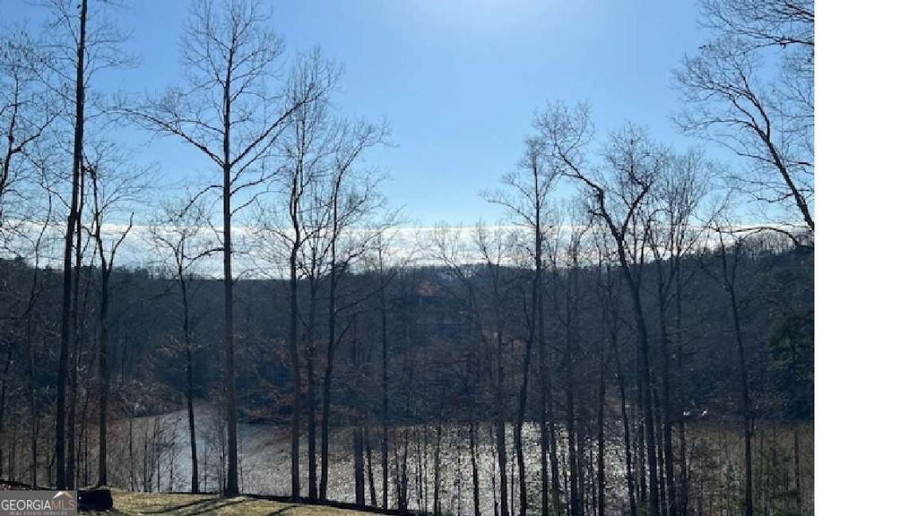 Photo of 940 Purvis Road, Baldwin, GA 30511 (MLS # 10706096)