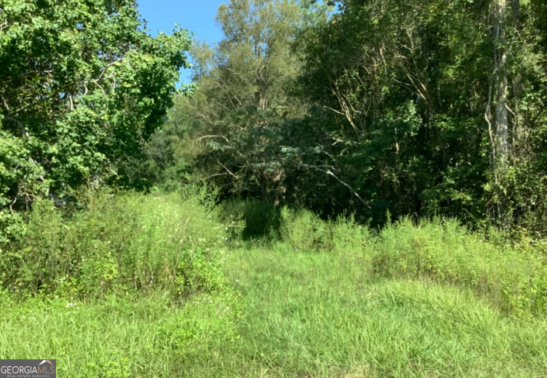 LOT 62 Burnt Fort Road, White Oak, GA, 31568