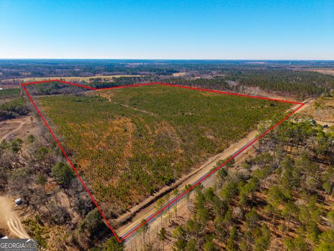 Photo of 2527 Henry Moxley Road, Cobbtown, GA 30420 (MLS # 10688405)