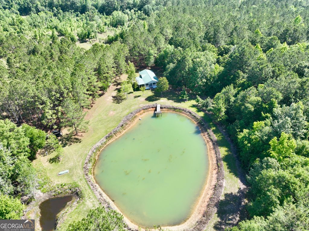 Photo of 769 Mount Olive Church Road, Eastman, GA 31023 (MLS # 10765190)