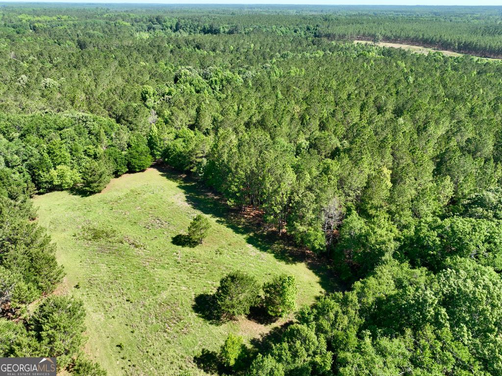 Photo of 769 Mount Olive Church Road, Eastman, GA 31023 (MLS # 10765190)
