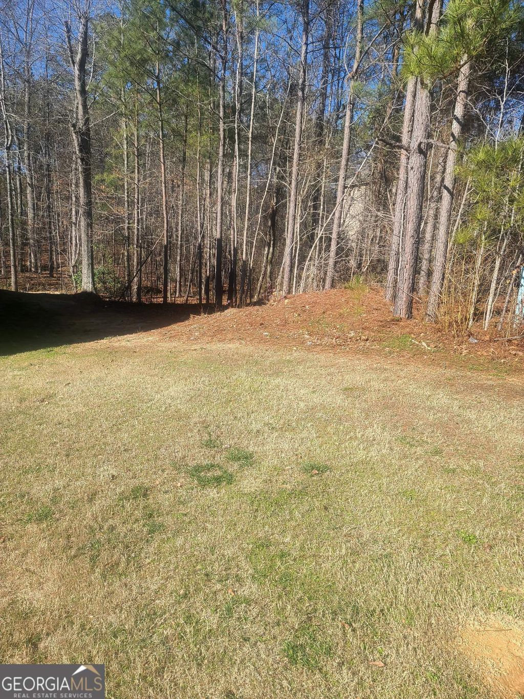 Photo of 1385 Pebble Ridge Drive, Hampton, GA 30228 (MLS # 10669391)