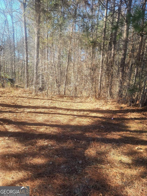 Photo of 1385 Pebble Ridge Drive, Hampton, GA 30228 (MLS # 10669391)