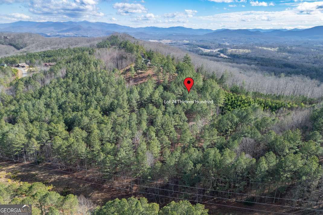 LOT 74 Thirteen Hundred