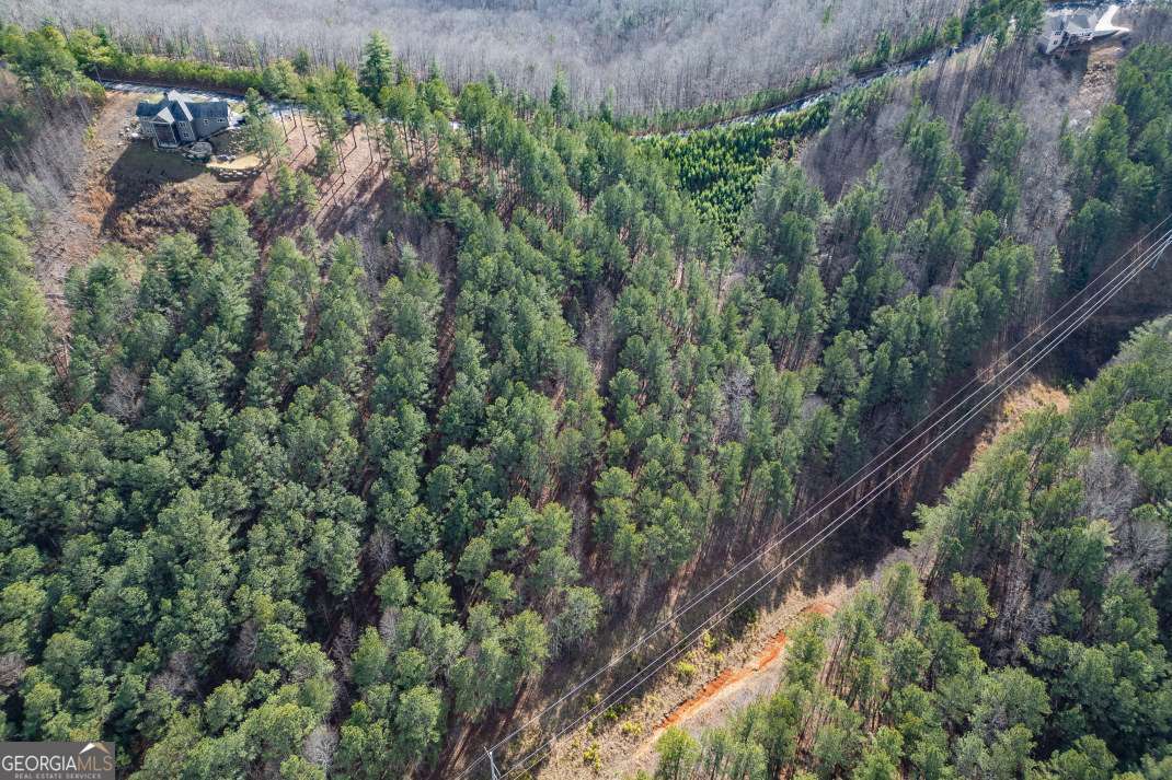 LOT 74 Thirteen Hundred