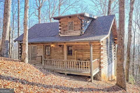 770 Glassy Mtn Rd Tiger GA 30576