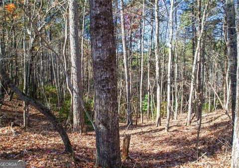 LOT 26 Waldrip RD Dawsonville GA 30534
