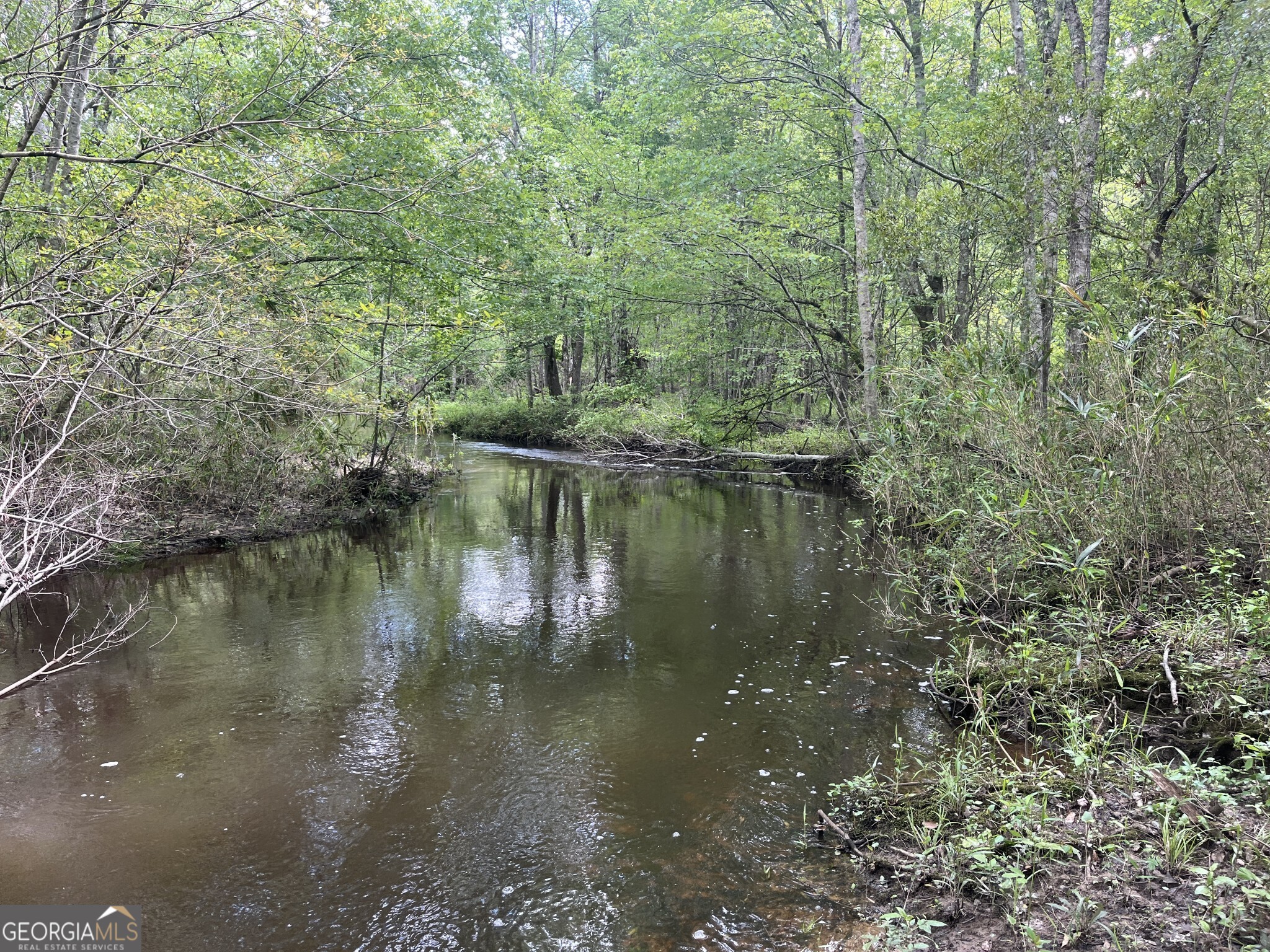 0 Bartow-Dublin RD