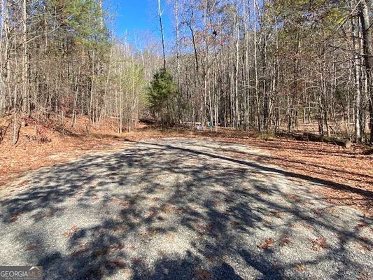 8 CAMERON PT, CLEVELAND, GA 30528 - Image 1835c042fb32a8f70c61cfab40d81f4e/2478381603