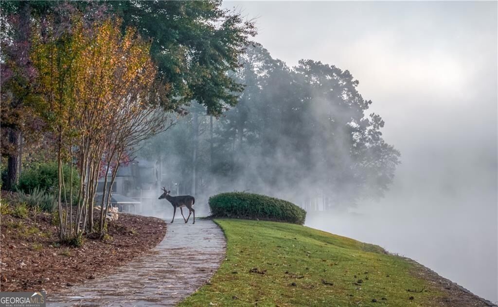 271 Quail RUN