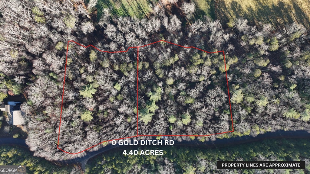 Photo of 10 Gold Ditch Road, Cleveland, GA 30528 (MLS # 10791757)