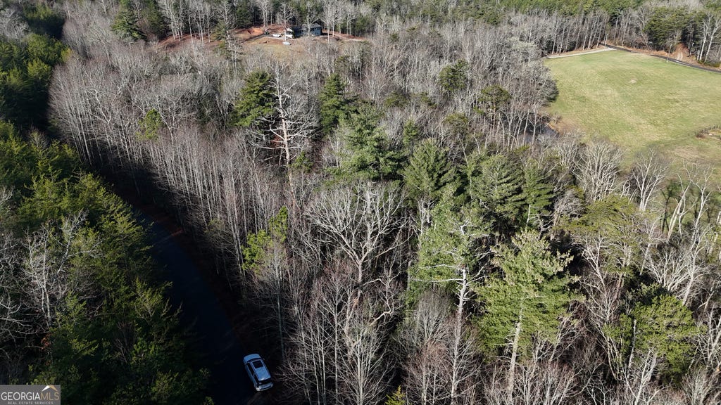Photo of 10 Gold Ditch Road, Cleveland, GA 30528 (MLS # 10791757)