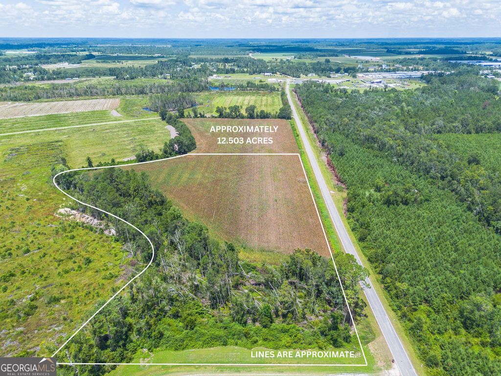 Photo of 000 Teakwood Road, Alma, GA 31510 (MLS # 10670856)