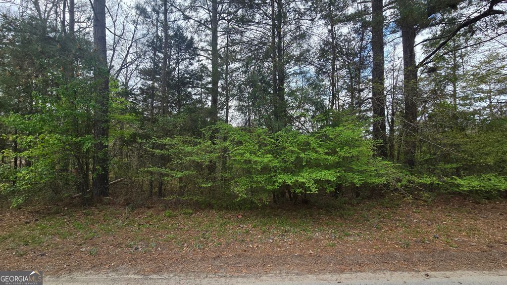 Photo of 0 Cherry Rd, Franklin, GA 30217 (MLS # 10721869)