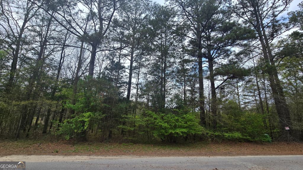 Photo of 0 Cherry Rd, Franklin, GA 30217 (MLS # 10721869)