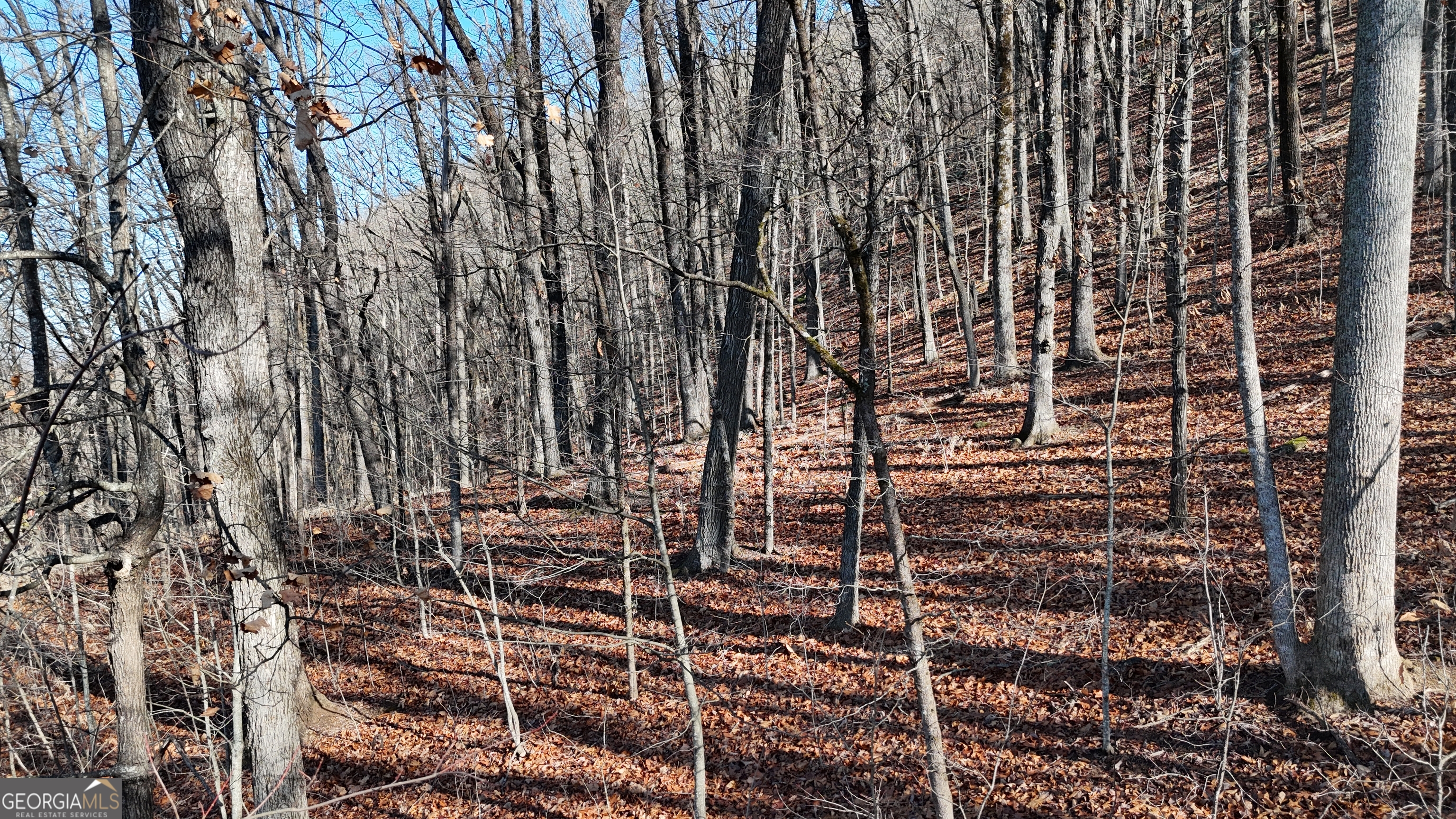 LOT 45 Mountainside DR