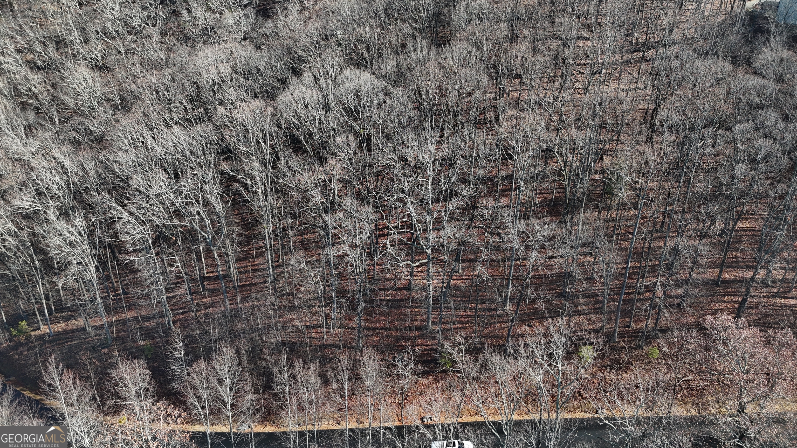 LOT 45 Mountainside DR