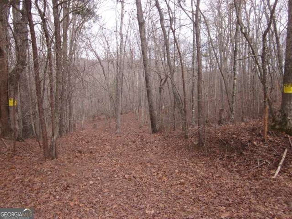 Photo of 0 Sparks Way, Talking Rock, GA 30175 (MLS # 10767294)