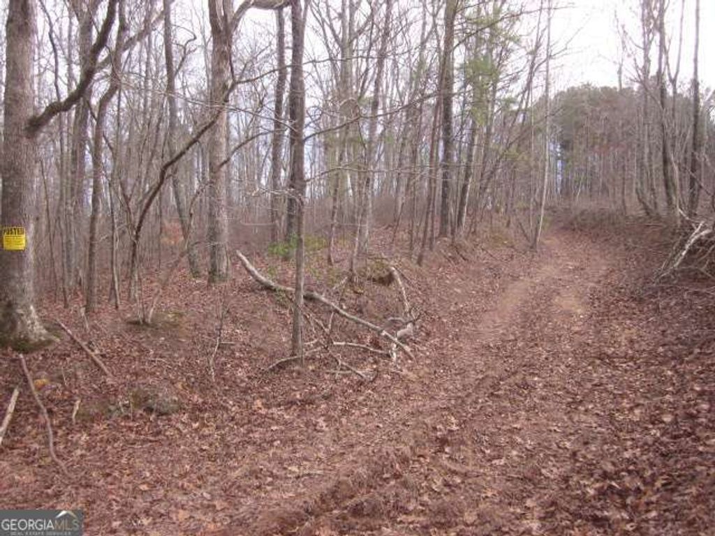 Photo of 0 Sparks Way, Talking Rock, GA 30175 (MLS # 10767294)