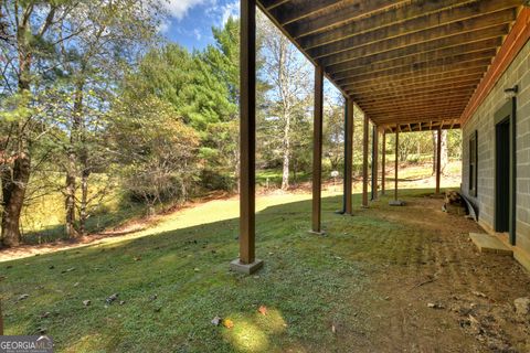 A home in Mineral Bluff