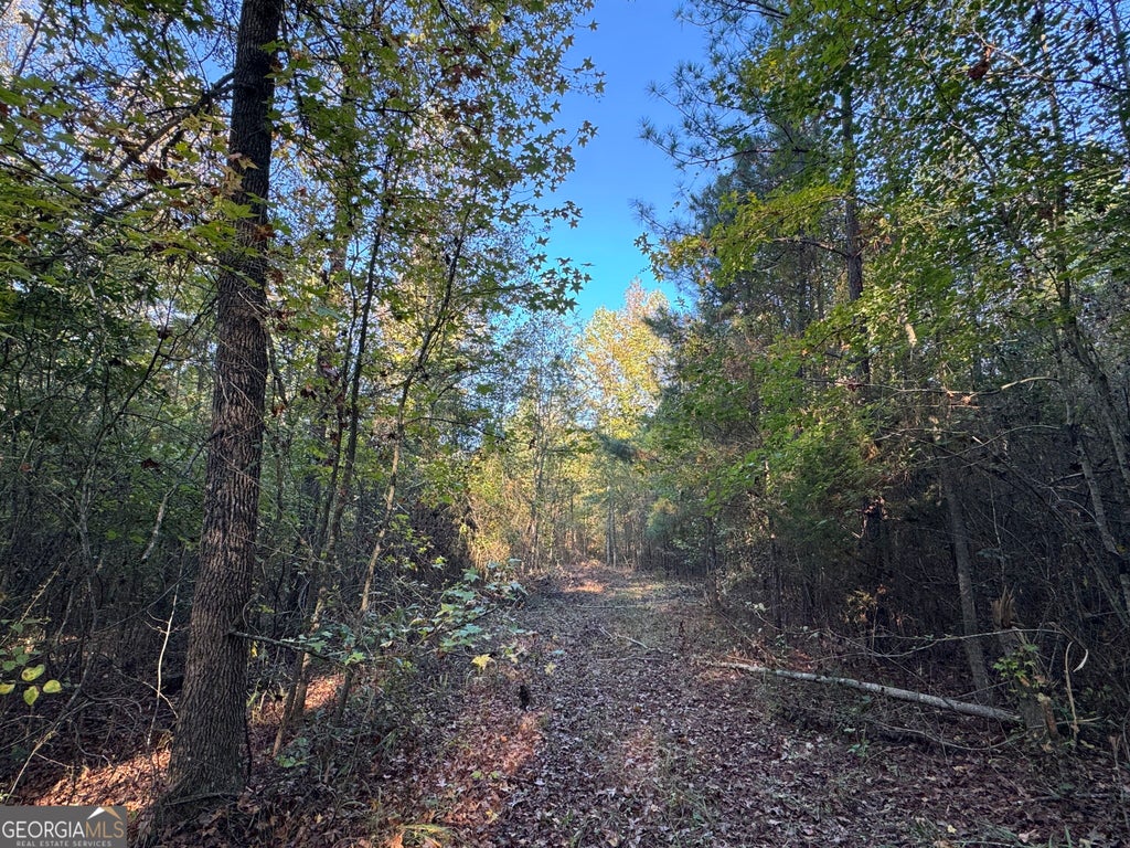 Photo of 13 Butler Road, Franklin, GA 30217 (MLS # 10875452)