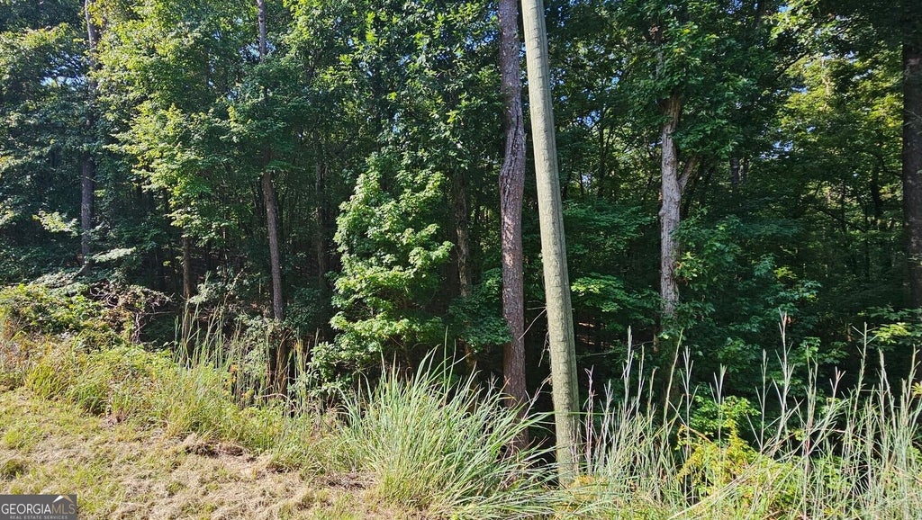 Photo of 1050 Smith Road, Fortson, GA 31808 (MLS # 10839502)
