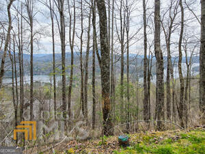 Stunning lot offering stupendous views of layered mountains and the beautiful Lake Burton. Nestled on a quiet dead-end street, enjoy the peace and privacy of no through traffic. The amazing offer price provides incredible value in this premier location. While the minimum square footage to build is 2,500 sq ft, the topography of the lot allows for a larger home design to maximize the breathtaking scenery. Located in an exclusive gated community, Overlook at Lake Burton that is home to the renowned Waterfall Club, offering exceptional amenities and a luxury lifestyle. This is a rare opportunity to own a piece of mountain-lake paradise! This lot faces south east with sunrise views.