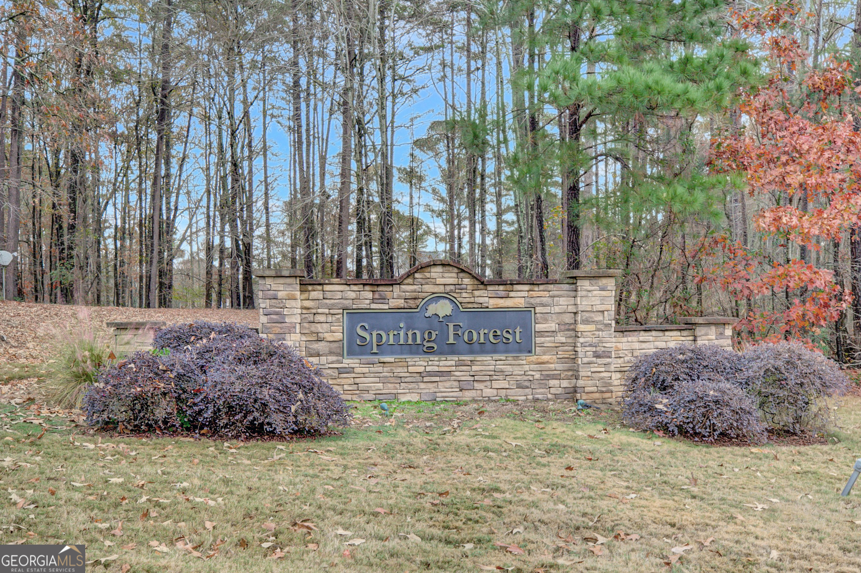 90 Spring Forest TRL