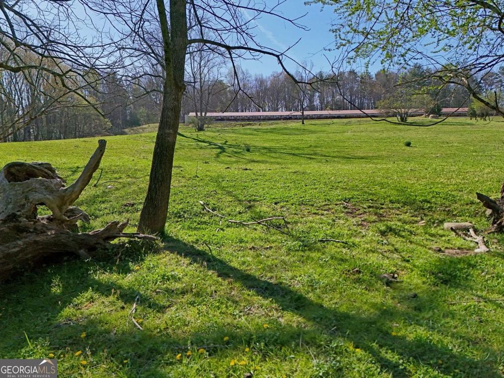 Photo of 4801 Pat Colwell Road, Blairsville, GA 30512 (MLS # 10724944)