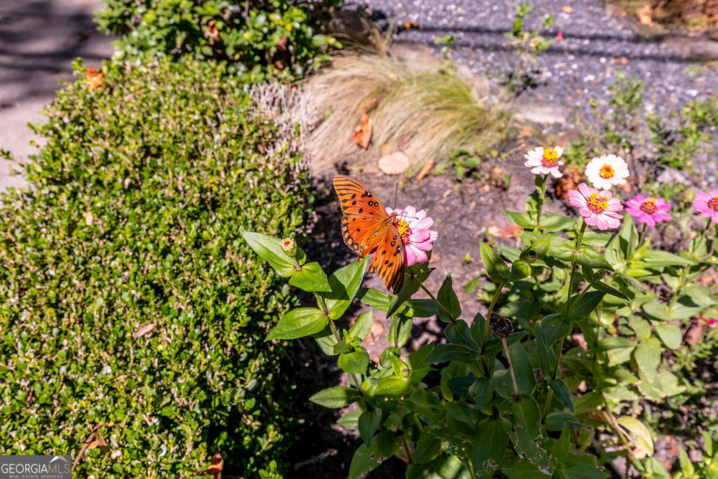 1084 Sanders AVE SE A