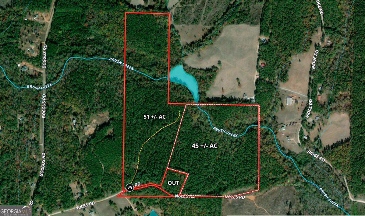 Perfect Recreation tract in South East Heard County. Located on Noels Road, this property has excellent Timber diversity, with Loblolly Planted pine, mature pine and beautiful hardwoods. Brush Creek flows through the land, creating incredible wildlife habitat. The area is rural and has good neighbors. West Point Lake is just around the corner, offering tons of water sport opportunities. Lagrange and Franklin are easy drives.