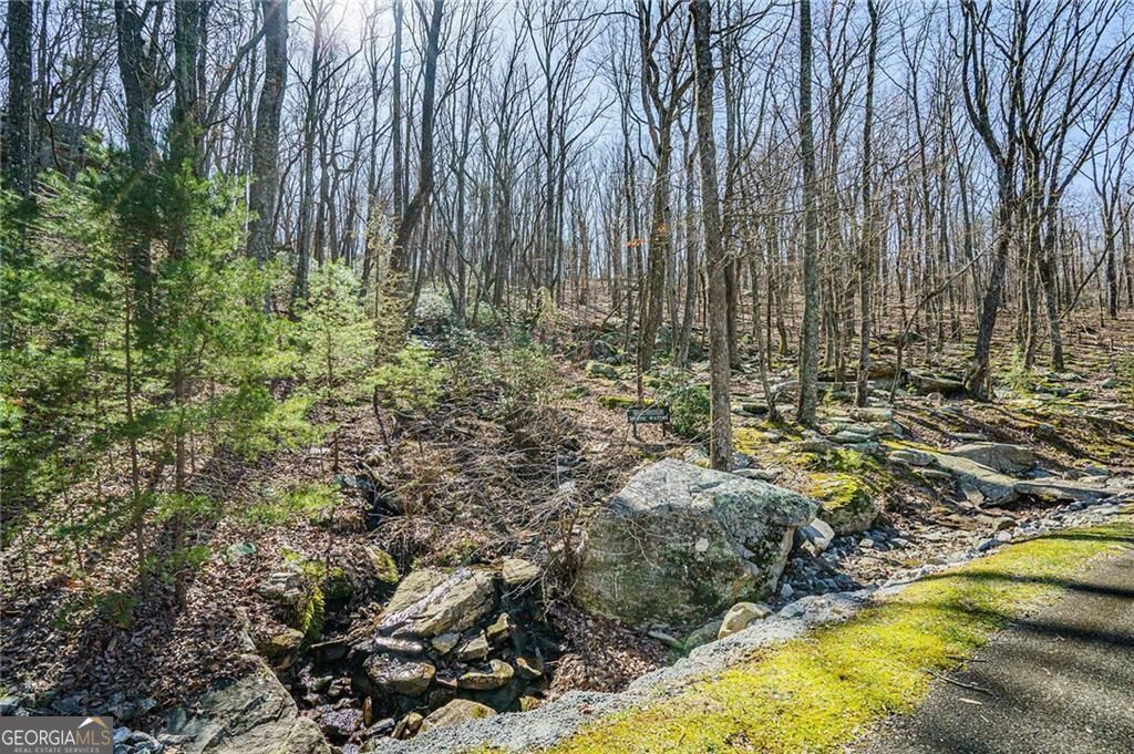 The Preserve at Sharp Mountain - Land