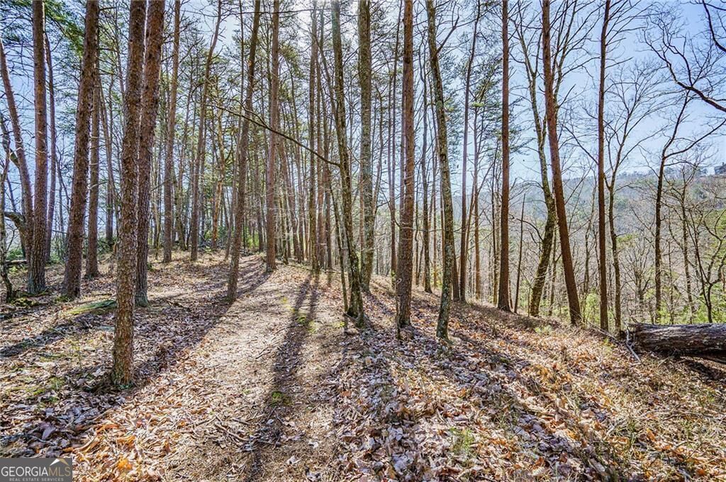 This rare opportunity to own the ridge and cul-de-sac offers extreme privacy and long-range vista views. The babbling Scarecorn Creek and stunning mountain views border this 13.1-acre property. The property's potential homesites are easily accessible along the ridge from the trail path that could serve as your driveway. Situate your new home to capture a bird's eye view of the iconic Sharp Mtn or long-range views of the North Georgia mountains. You can even have a family compound on these two lots, with each home having its own spectacular view. Soil tests have been performed. The Preserve at Sharp Mountain is a unique community that emphasizes the preservation of natural mountain beauty. Additionally, it is a well-run homeowner's association. Located 45 miles from Atlanta, offering the perfect escape from city life while still being close enough to remain connected. This prestigious gated community is surrounded by 1600 acres of natural preserves, including parks, waterfalls, hiking trails, open-air lodges, ponds, and creeks. Charming downtown Jasper, local retailers, restaurants, and hospitals are just a short 10-minute drive away. And with nearby wineries, apple houses, and Carters Lake, there's always something to explore in this quiet community!