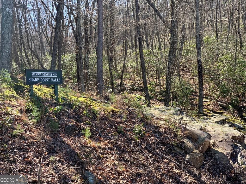 The Preserve at Sharp Mountain - Land
