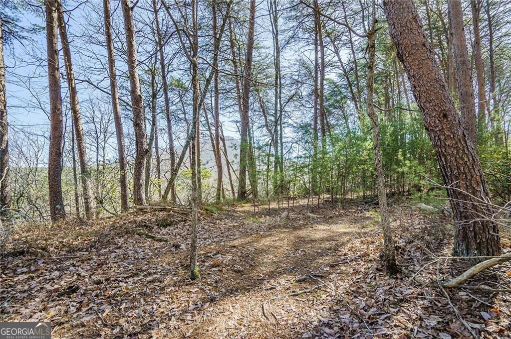 The Preserve at Sharp Mountain - Land