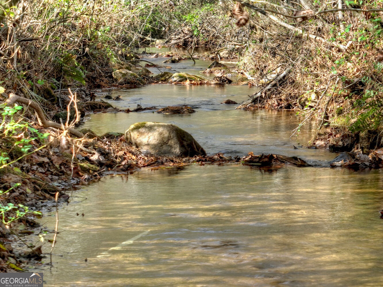 203 Buck Creek TRL