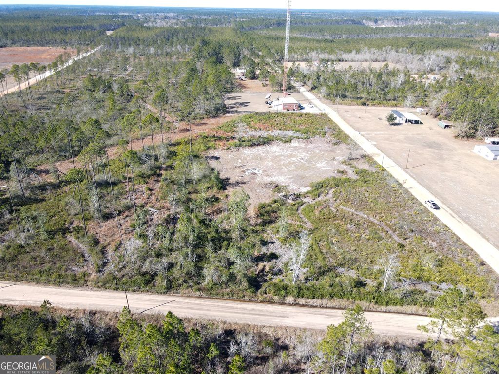 Photo of 1379 Hasty Rd, Millwood, GA 31552 (MLS # 10683428)