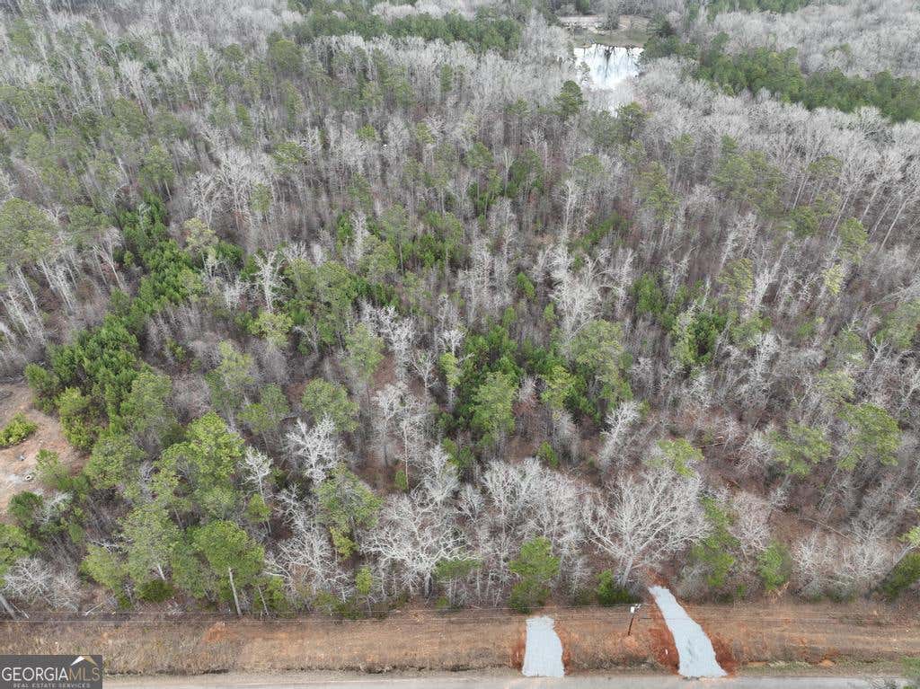 Photo of 177 Rock Creek Road, Flovilla, GA 30216 (MLS # 10796427)