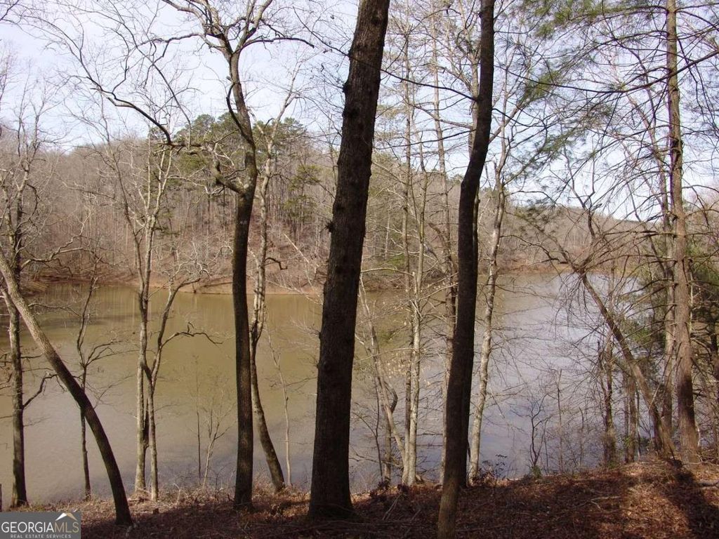 Photo of 363 Lake Road, Dawsonville, GA 30534 (MLS # 10654522)