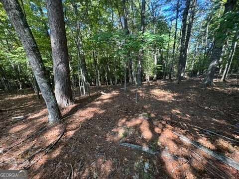 LOT 1 Laurelwood CIR