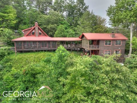 A home in Mineral Bluff