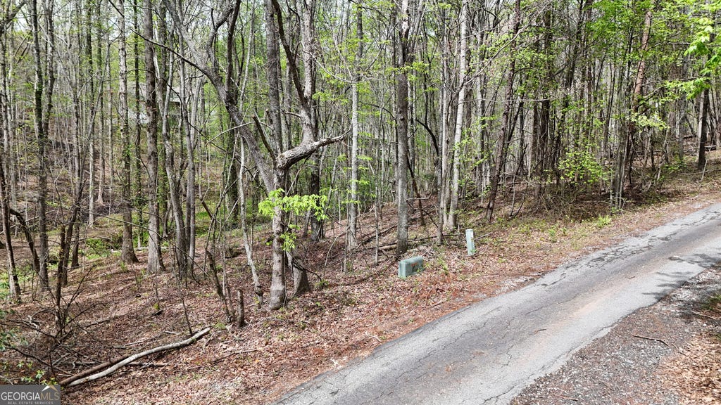 Photo of 0 Shenandoah Drive, Cleveland, GA 30528 (MLS # 10791754)