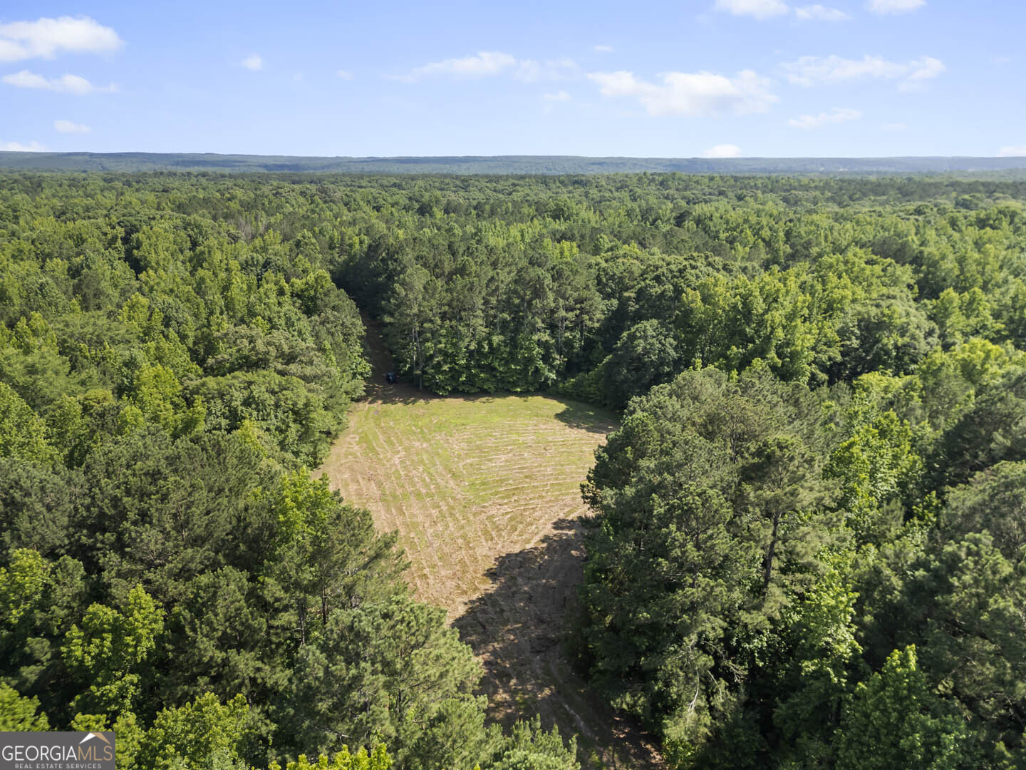 2950 Doster RD