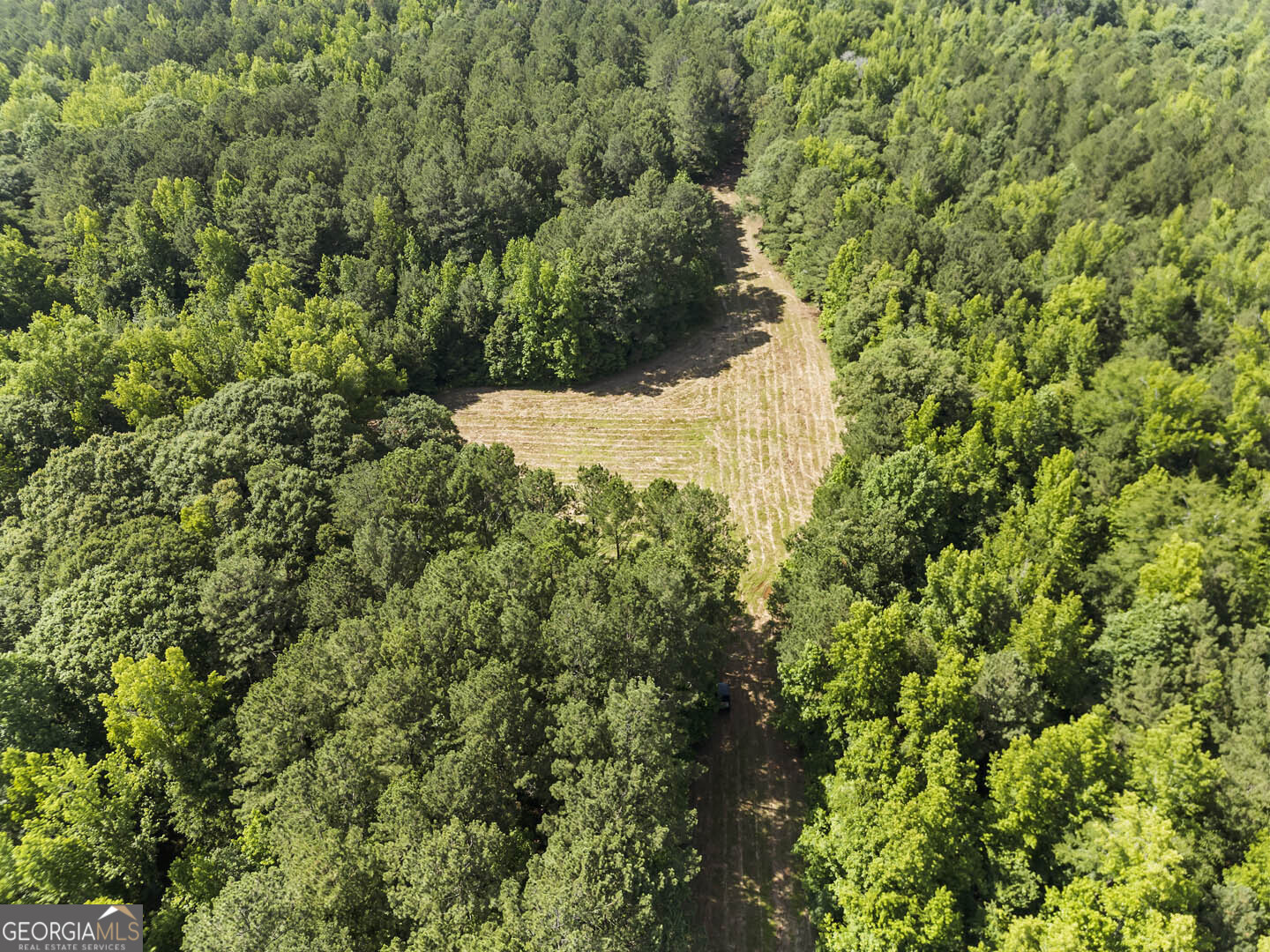 2950 Doster RD